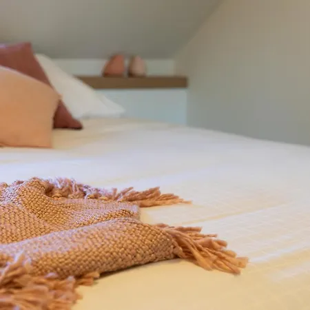 Elvier B&B 몰